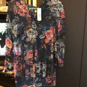 Stitch Fix sheer top 16 sheer